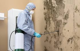 Best Air Quality Testing for Mold Spores  in Springdale, PA